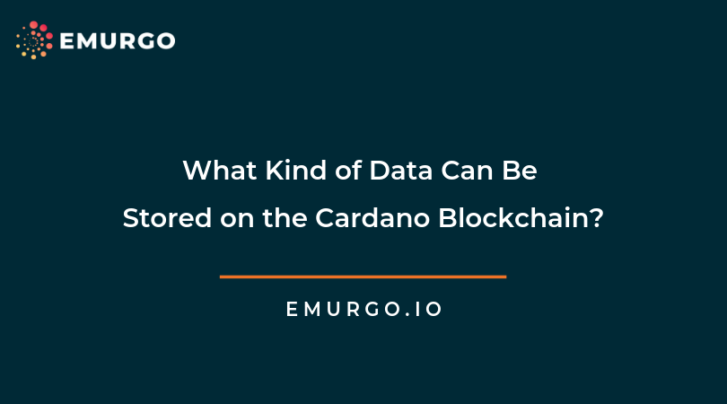 What Kind of Data Can Be Stored on the Cardano Blockchain?